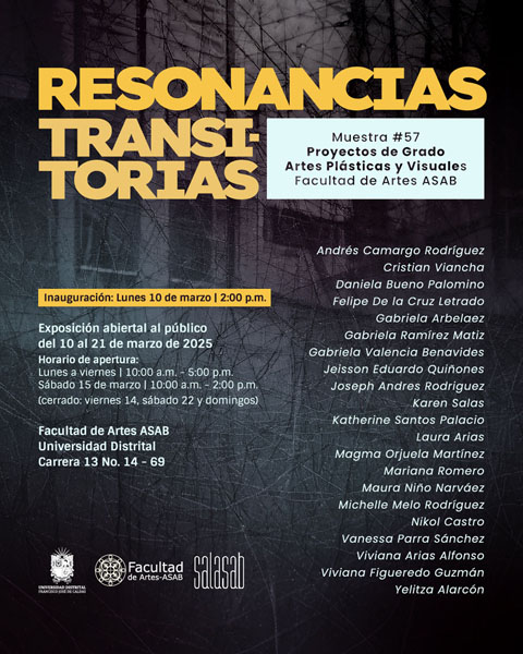 Imagen proyecto 57 PG - Resonancias Transitorias